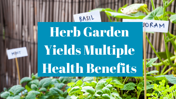 Herb Garden Yields Multiple Health Benefits